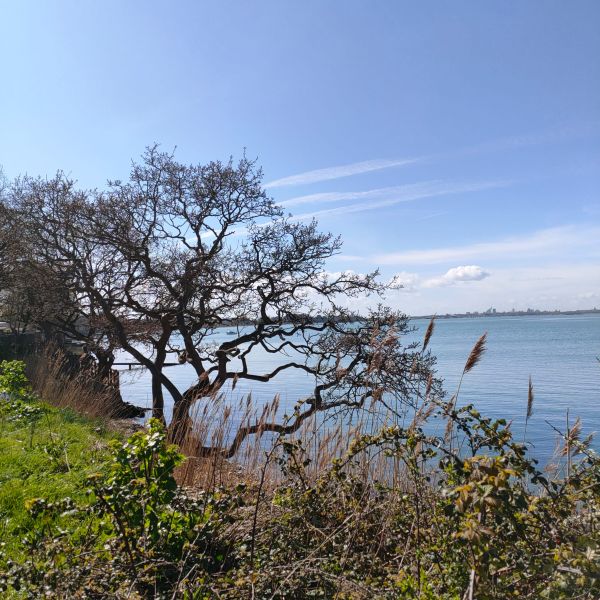 Hayling